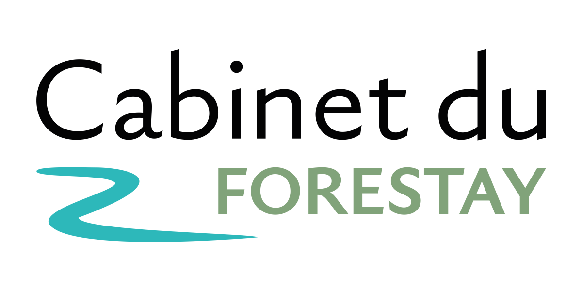 Cabinet du Forestay